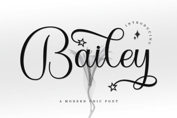 Bailey Script Font – Elegant Typography for Creative Projects