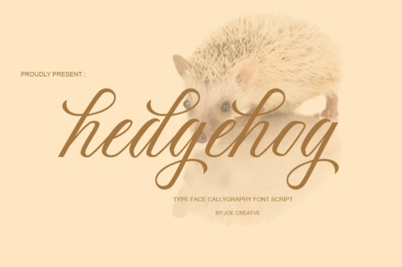 Hedgehog Font: A Script Typeface Worth Adding to Your Collection