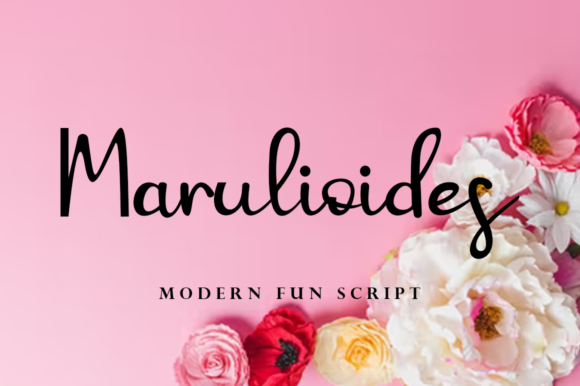 Marulioides – The Script Font That Elevates Every Design